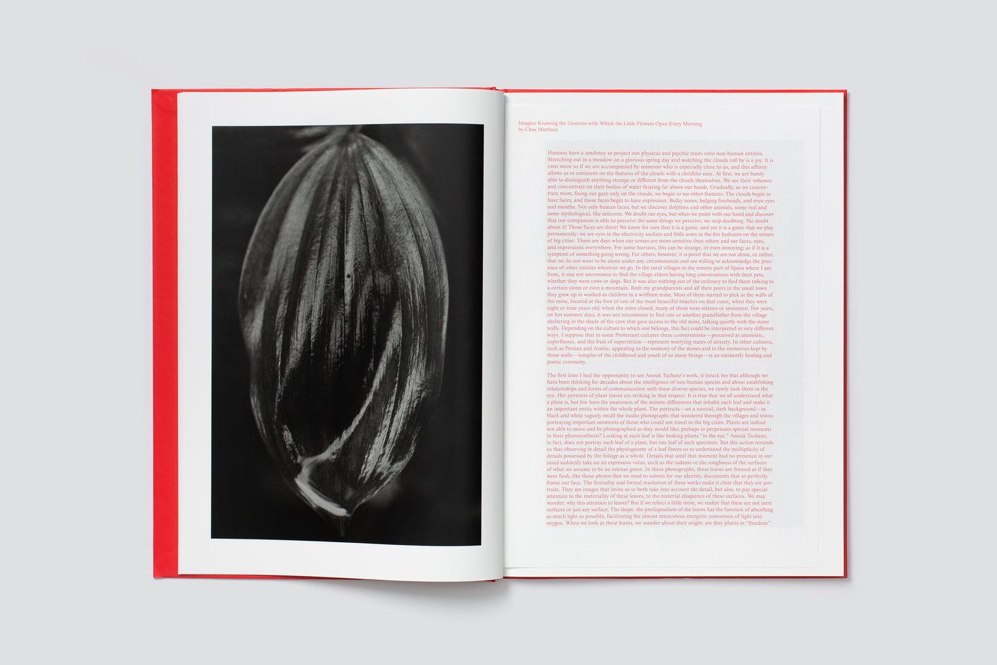 Anouk Tschanz: ACTINISM