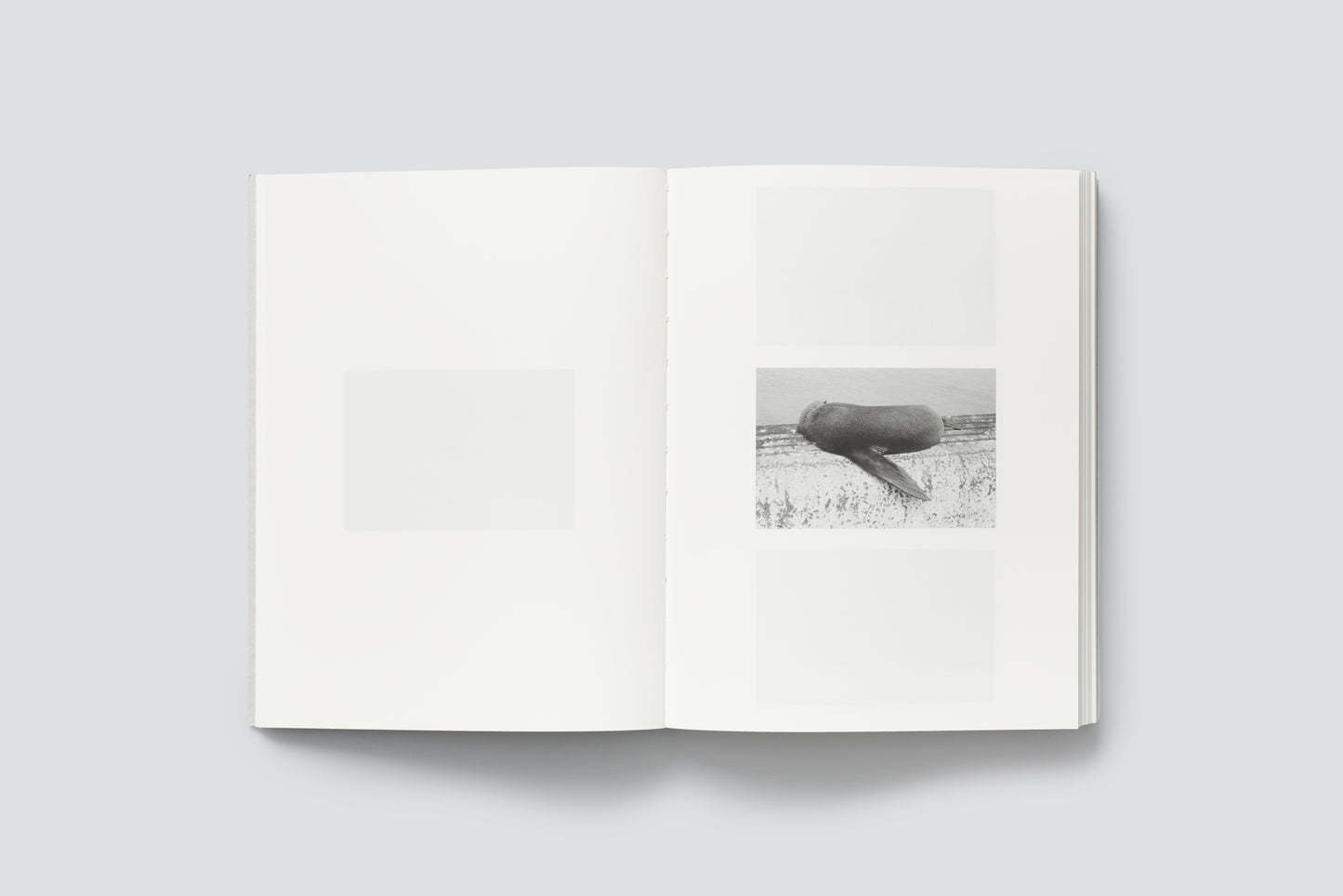 Clemens Ascher: Of Forms and Traces Vol. 2