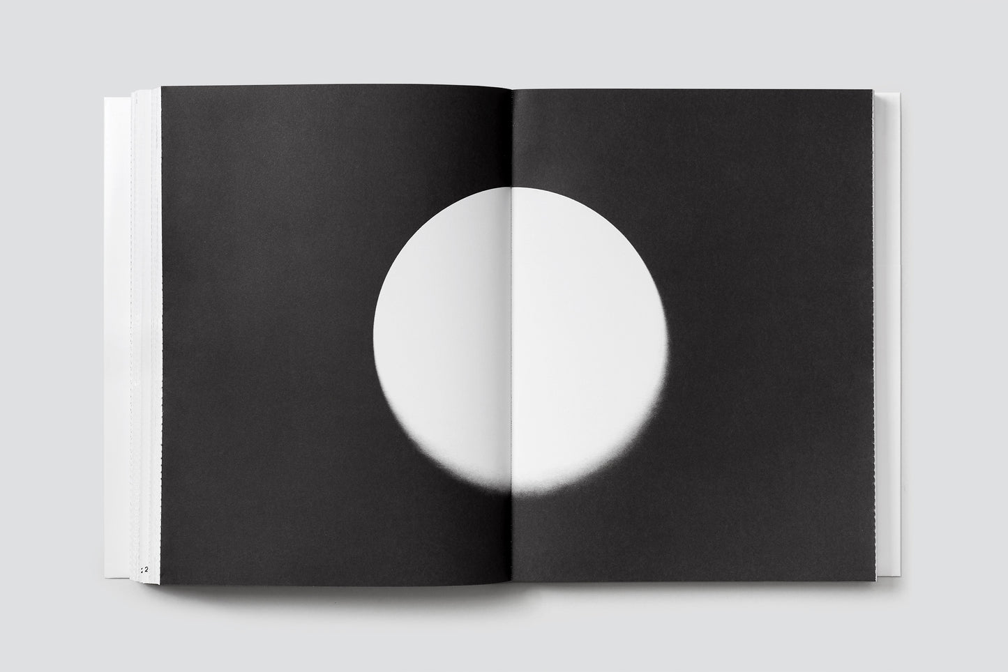 Rahel Kraft: Paradoxical Creatures