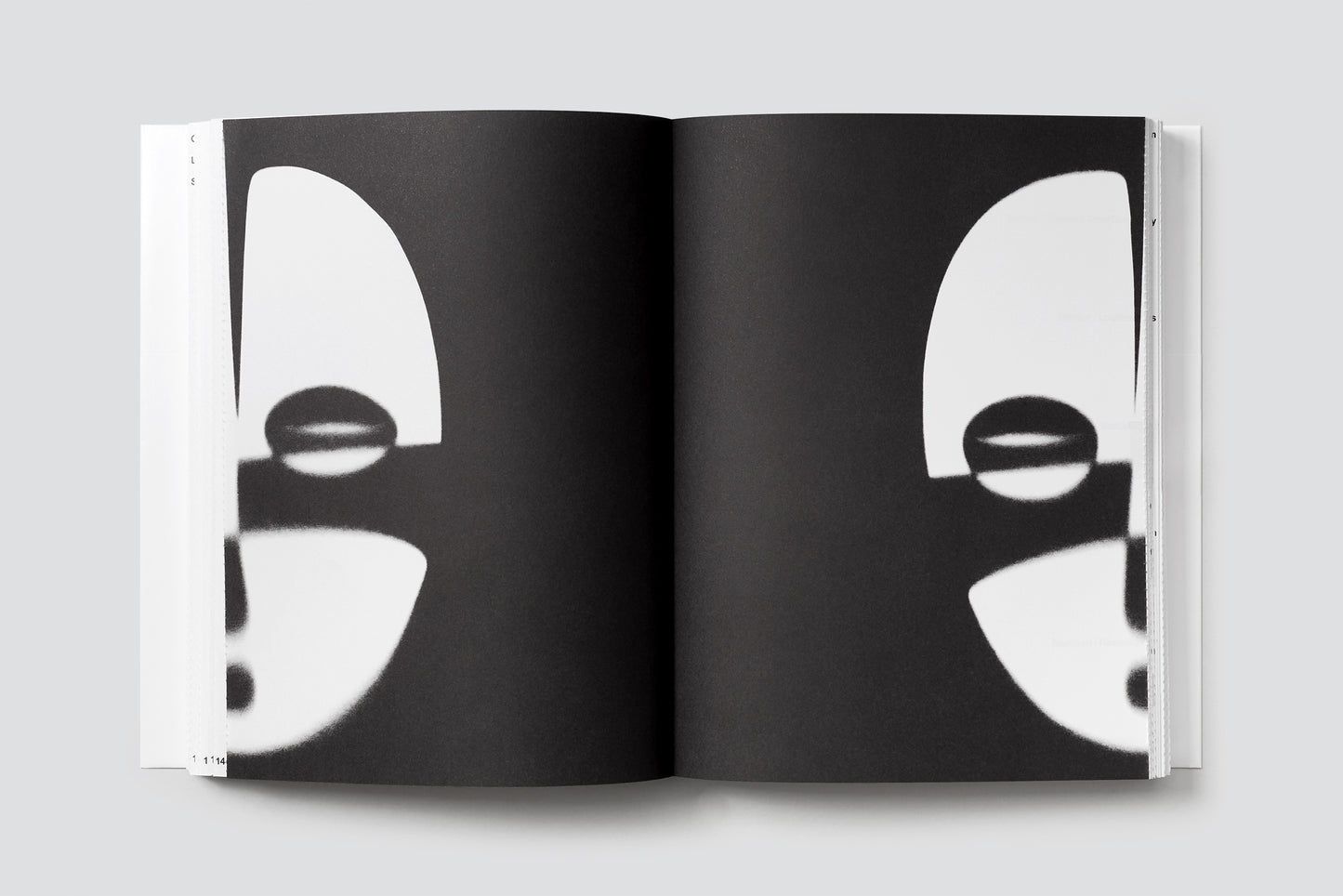 Rahel Kraft: Paradoxical Creatures