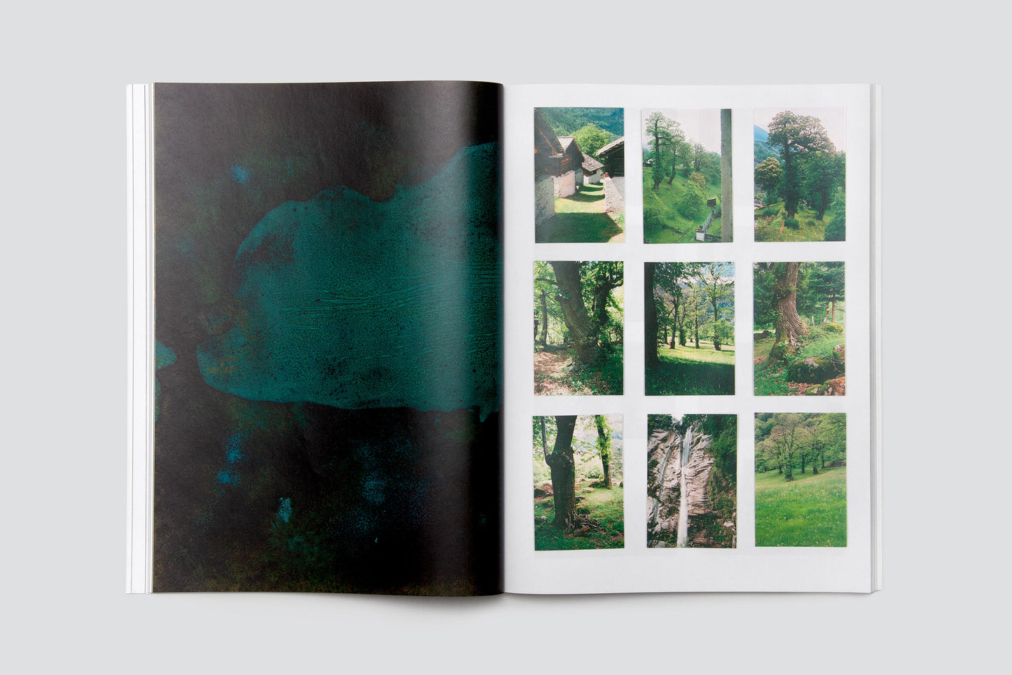 Katalin Deér: Verde