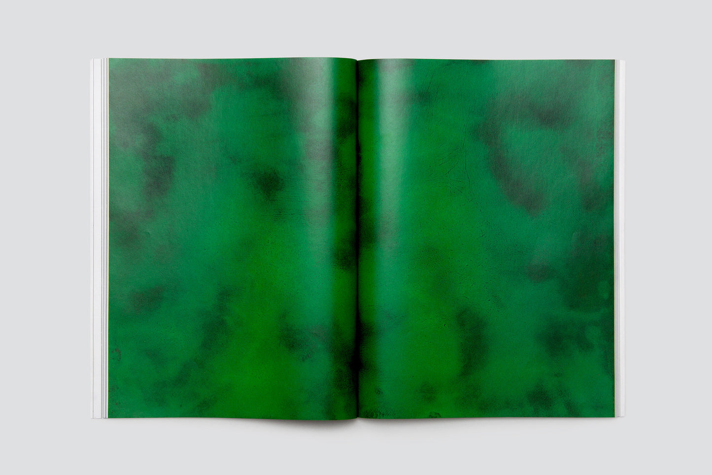 Katalin Deér: Verde