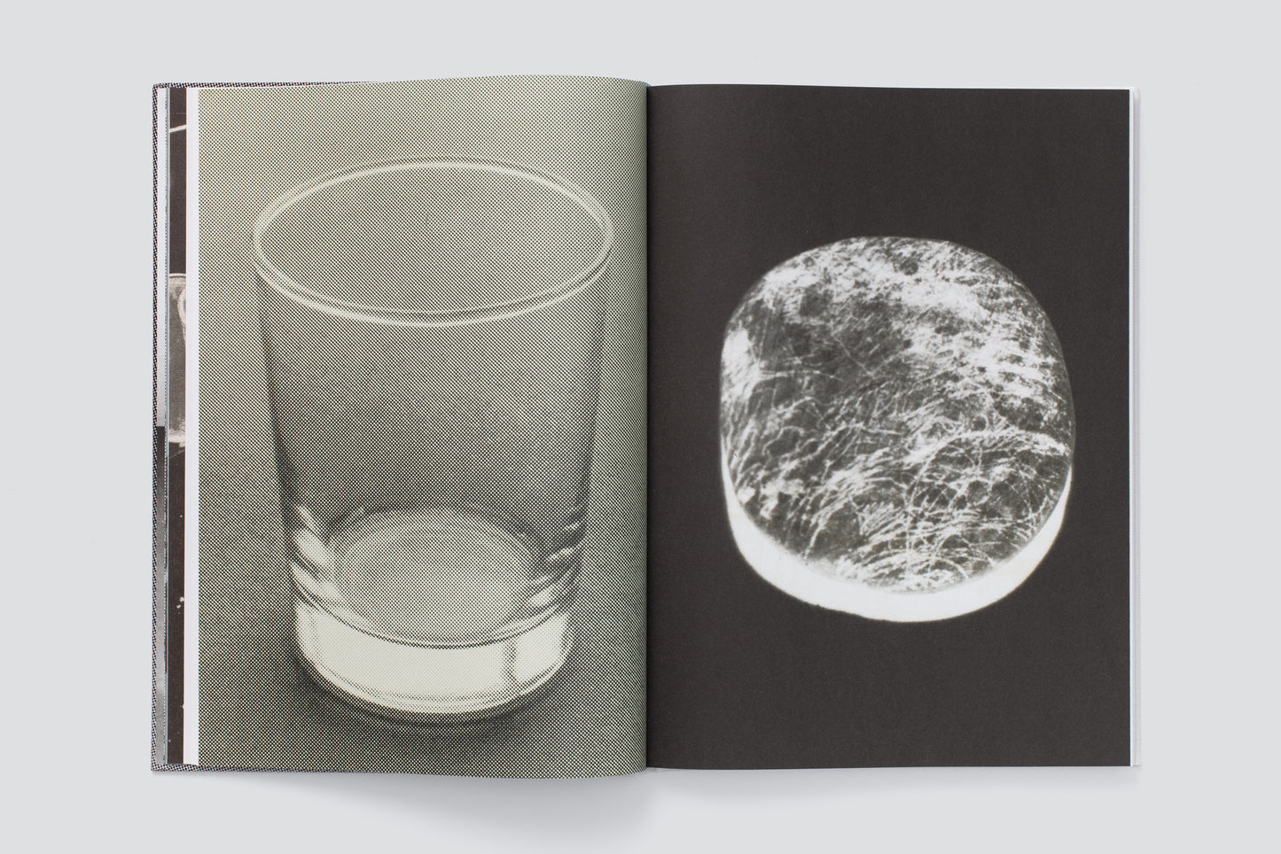 Hugo Suter. Bilder, die die Seiten wechseln. Images That Switch Sides