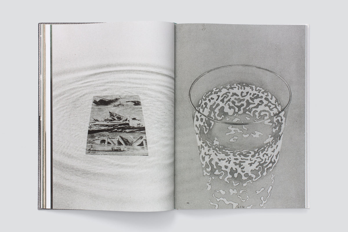 Hugo Suter. Bilder, die die Seiten wechseln. Images That Switch Sides