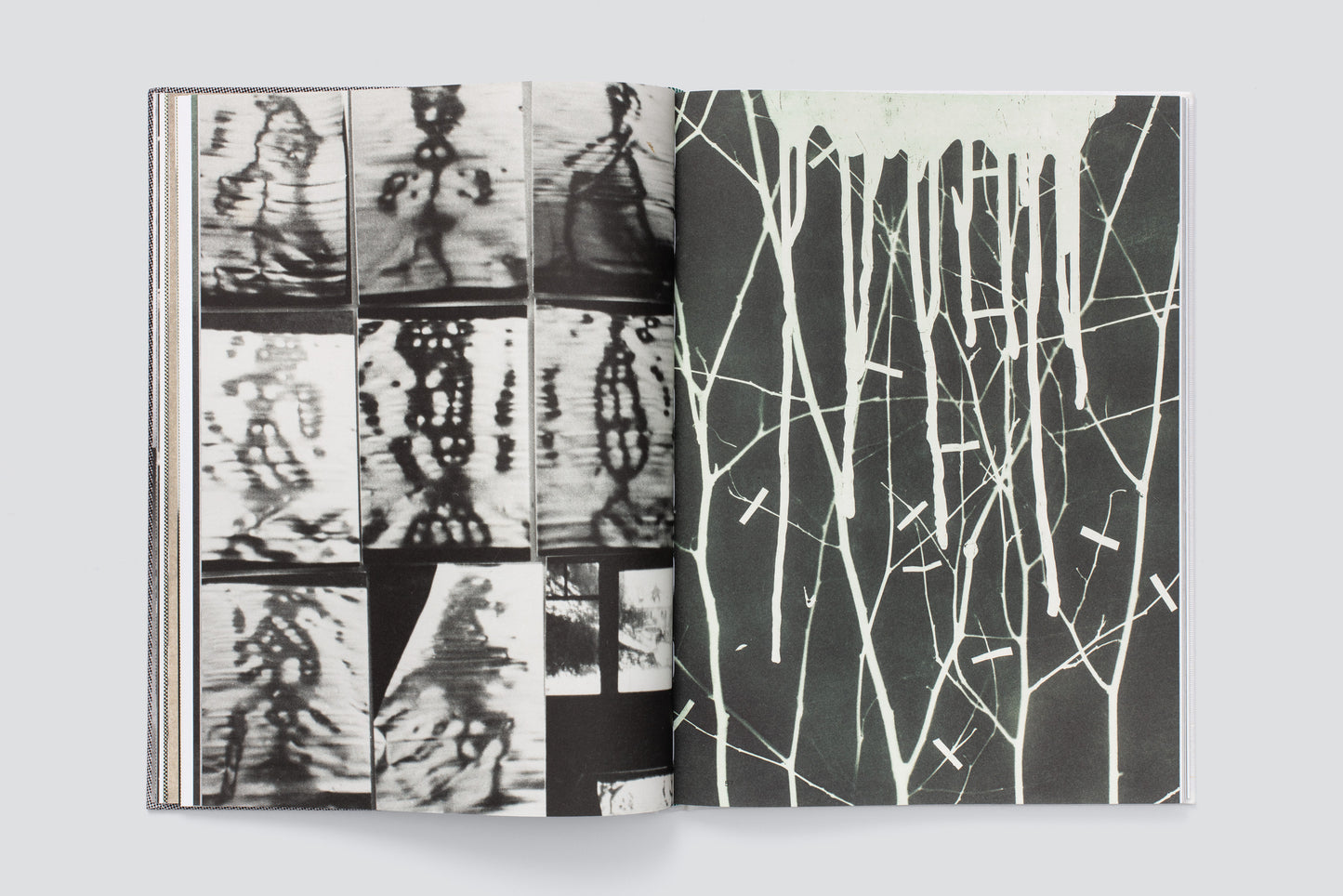 Hugo Suter. Bilder, die die Seiten wechseln. Images That Switch Sides