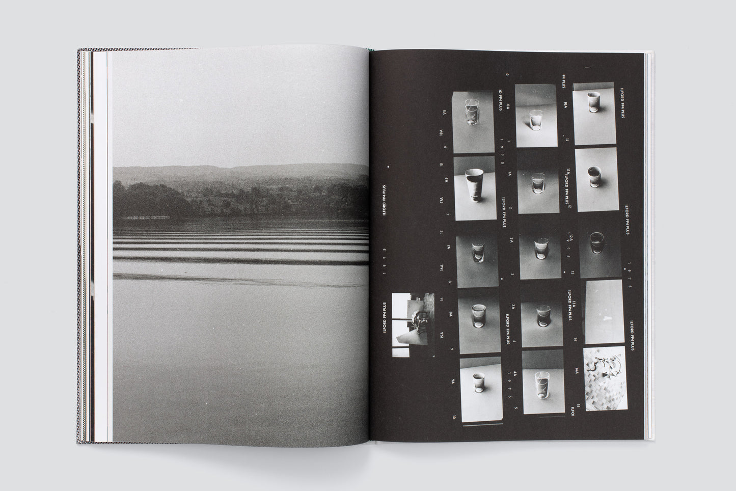 Hugo Suter. Bilder, die die Seiten wechseln. Images That Switch Sides