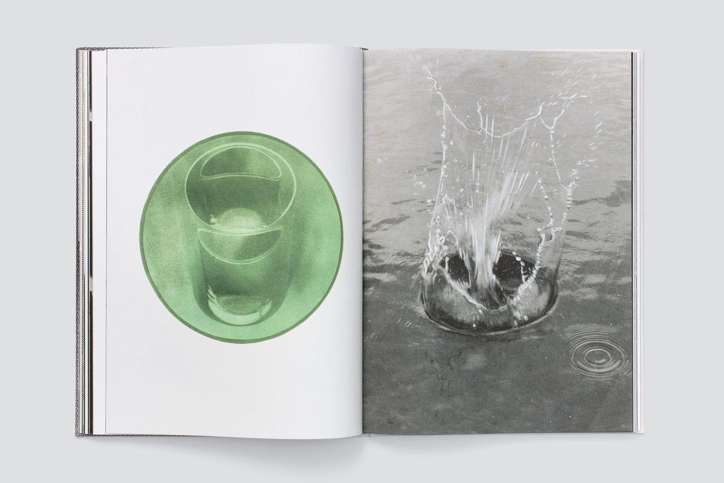 Hugo Suter. Bilder, die die Seiten wechseln. Images That Switch Sides