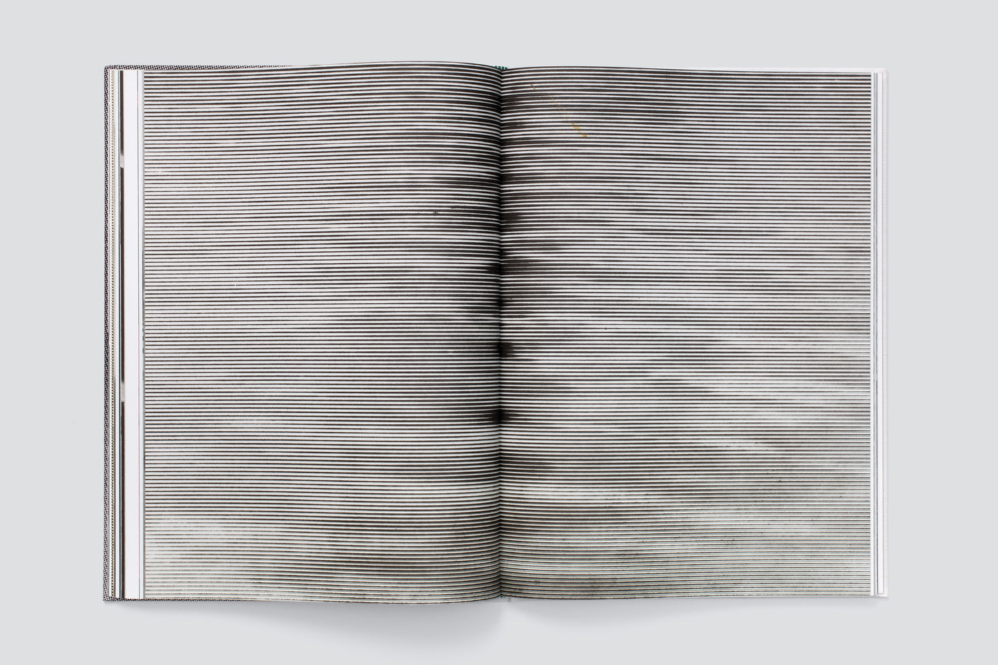 Hugo Suter. Bilder, die die Seiten wechseln. Images That Switch Sides