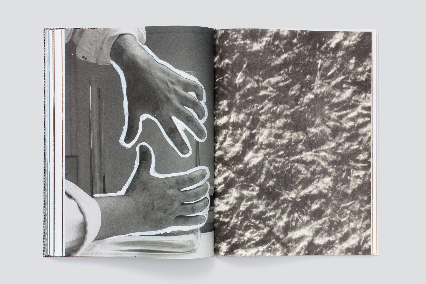 Hugo Suter. Bilder, die die Seiten wechseln. Images That Switch Sides