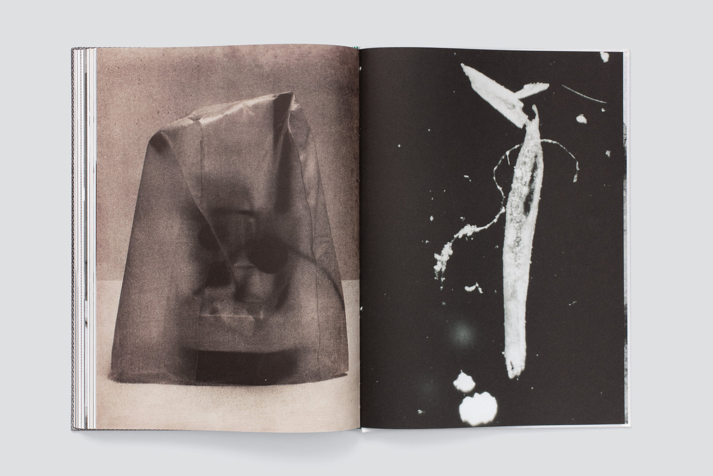 Hugo Suter. Bilder, die die Seiten wechseln. Images That Switch Sides