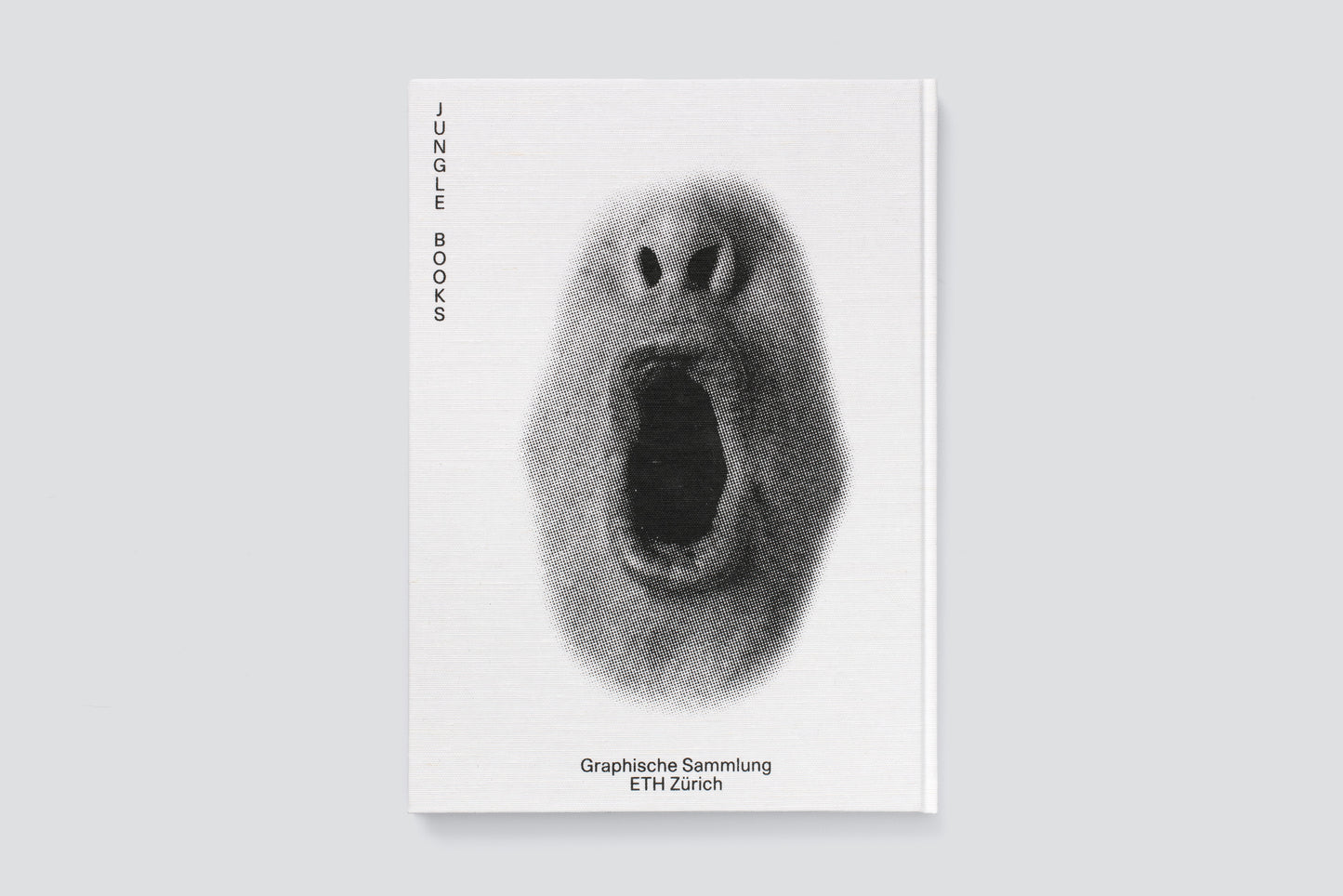 Hugo Suter. Bilder, die die Seiten wechseln. Images That Switch Sides