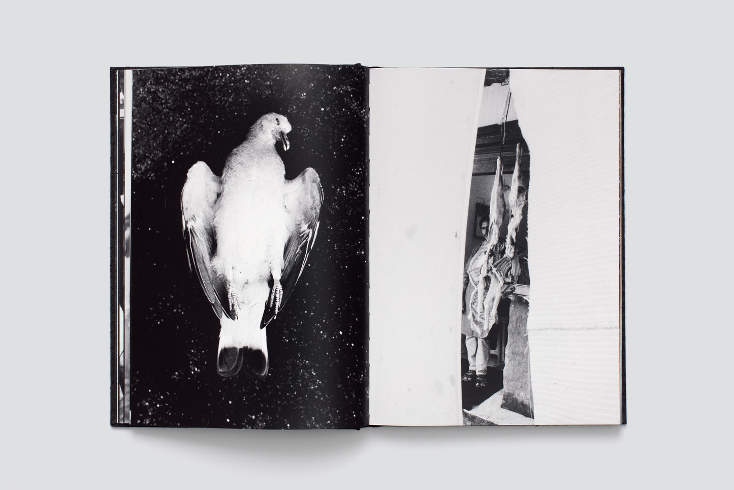 KROW: The Waiting Room