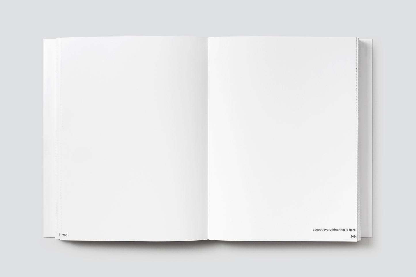 Rahel Kraft: Paradoxical Creatures